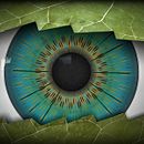 Ojo/Hoja. Un proyecto de 3D de Juan Moreno - 15.01.2016