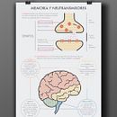 Infografía, Memoria y Neutransmisores . % David Corchero Molina tarafından hazırlanan Grafik Tasarım projesi - 11.09.2015