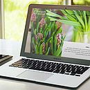 Eiviss- GARDEN. Un proyecto de Diseño Web, Fotografía y UX / UI de María López Martín-Sanz - 21.01.2016