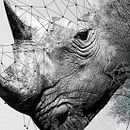 MACN - Museo Argentino de Ciencias Naturales Ein Projekt aus dem Bereich Br, ing und Identität, Webentwicklung, Kunstleitung, Design, Verlagsdesign und Grafikdesign von Carla Llinas - 25.01.2016