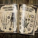Ilustración científica 2. Projekt z dziedziny  Sztuki piękne, Design, Trad, c, jna ilustracja, T i pografia użytkownika Julia López de Juan Abad - 27.01.2016
