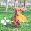 SANTA CRUZ VETERINARIA. Un proyecto de Br, ing e Identidad, Dirección de arte, Diseño, Diseño gráfico y Gestión del diseño de Erin Herrera - 09.02.2015