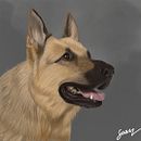 Just a Dog. Un progetto di Illustrazione tradizionale di suarz_dg - 20.02.2016