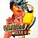 Palomino Motel. Colagem projeto de Paula Brasaanï - 26.02.2016