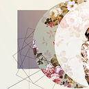Moda colash Ein Projekt aus dem Bereich Collage und Design von Diana Armisén Gracía-Santamarina - 07.03.2016