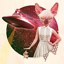 Collage retro, psychedelic cat Ein Projekt aus dem Bereich Collage und Grafikdesign von Diana Armisén Gracía-Santamarina - 08.03.2016