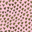 Cactus everywhere. . Un proyecto de Diseño gráfico e Ilustración tradicional de moon_illustrator - 15.03.2016