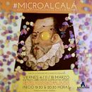 #Microcervantes exposición. Street Art, Design, Graphic Design, and Traditional illustration project by Pedro González López - 03.18.2016