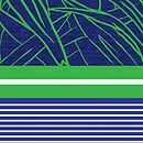 diseño de print para bañador. Een project van Grafisch ontwerp van Daniela Sanchez Melendez - 27.03.2016