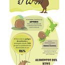 El Kiwi. Un proyecto de Diseño de personajes, Diseño editorial, Educación, Ilustración tradicional e Infografía de Clara Sánchez-Aguilera - 27.03.2016