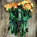 Food photography/Fotografia de Alimentos. Photograph project by Iris Velez - 04.02.2016