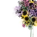 FLOWERS Ein Projekt aus dem Bereich Collage und Traditionelle Illustration von Diana Armisén Gracía-Santamarina - 04.04.2016