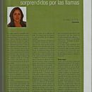 Anuario Asociación de la Prensa de Granada. Escrita projeto de Virginia Castaño Muñoz - 06.04.2012