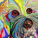 pop art. Projekt z dziedziny Design użytkownika juliaancoito12 - 07.04.2016