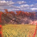 Landscape. 3D, Animação, Cinema, Vídeo e TV, VFX, e Vídeo projeto de Javier Silva Contreras - 10.04.2016