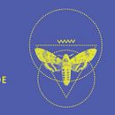 FCF colabora con el Festival Internacional de Cinema de Cerdanya. Film project by Fuera de Campo Films - 04.10.2016