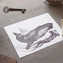  Rough Whale. Un progetto di Illustrazione tradizionale di evakey - 13.08.2016