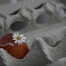 El sendero Final, trampantojo visual del camino de la vida, por Ángel Garcus.. Cinema, Vídeo e TV projeto de Angel Garcus - 18.04.2016