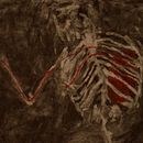 Hezurrak. Un proyecto de Animación, Bellas Artes, Cine e Ilustración tradicional de Ximon Agirre - 25.04.2016