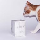 LAYER, proyecto identidad visual handmade. Projekt z dziedziny Br, ing i ident, fikacja wizualna,  Manager art, st, czn i Projektowanie graficzne użytkownika Lander Villar Plaza - 26.04.2016
