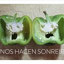 Felicitación "Pareidolia" #en1minuto. Video project by Júlia de Balle - 12.24.2015
