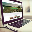 Czajkowski. Un proyecto de Desarrollo Web, Diseño Web y UX / UI de IDEA07 - 04.05.2016
