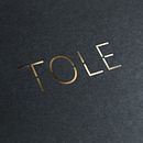TOLE - Branding. Un proyecto de Br, ing e Identidad, Dirección de arte, Diseño y Diseño gráfico de Marina Oorthuis - 07.10.2015