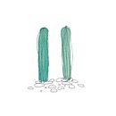 CACTUS PATTERN . % Ines Carballido tarafından hazırlanan Tasarım, Aksesuar Tasarımı, Grafik Tasarım, Geleneksel illüstras, Ve on projesi - 05.18.2016