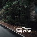 Twin Peaks. Un progetto di Cinema, Collage, Design, Graphic design, Fotografia e Postproduzione fotografica di Benja Molina - 19.05.2016
