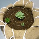 Exposición_Ideas para un jardín planetario. Artes plásticas, Design de produtos, Design de vestuário, e Design gráfico projeto de Regina Degiorgis Jiménez - 26.05.2016