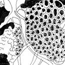 Fractal. Un proyecto de Animación de Jaume Ribalta Batalla - 29.05.2016