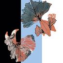 Peces . Un proyecto de Diseño, Diseño de vestuario y Diseño gráfico de María Ayala - 24.03.2016