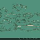 Ilustración Vectorial. Un projet de Design , Design graphique et Illustration traditionnelle de Leonardo Romero - 31.05.2016