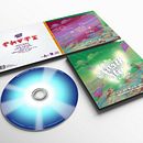 ROTNS. Demonstrating My Saiya Style | Diseño lenticular. Portada alternativa disco musical. Graphic Design, and Packaging project by Aníbal Carbonero - 06.01.2016