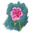 Flores: Estudio de color. . Ilustrație tradițională de Camila Casullo - 09.27.2016