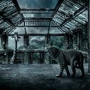 Progetto Jose Coello: I segreti del fotomontaggio e del ritocco creativo. Un progetto di Postproduzione fotografica di Jose Coello - 12.06.2016