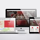 Mi Proyecto del curso: Introducción al Desarrollo Web Responsive con HTML y CSS. Web Design project by Adri Tellez - 06.20.2016