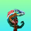 Camaleón . Un progetto di Design, Graphic design e Illustrazione tradizionale di Adán Careta - 13.06.2016