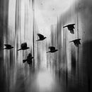Mi Proyecto del curso: Fotografía para la imaginación. Photograph project by Estefania Mena - 06.17.2016