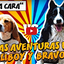 "Las Aventuras de Scaliboy y Bravocan". Un proyecto de Animación, Post-producción fotográfica		 y VFX de Pep T. Cerdá Ferrández - 21.06.2016