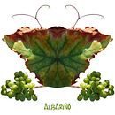 DESIGN. Een project van  Ontwerp, Productontwerp, Redactioneel ontwerp, Grafisch ontwerp, Interactief ontwerp, Webdesign y  Design management van Martín Manjón - 03.12.2016