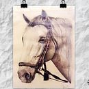 Ilustraciones. Un projet de Illustration traditionnelle de laura_f_rubio - 14.07.2016