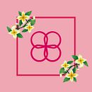 Miss Erinia | Branding Personal. Br, ing, Identit, Logo Design, Graphic Design, and Portfolio Development project by Jazmin Barraza - 10.23.2018