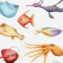 Acuáticos.. Ilustração tradicional projeto de Nat Wierzbicki - 18.07.2016