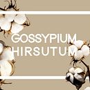 PROYECTO DE MODA SOSTENIBLE - SUAVE DEHISCENCIA - . Een project van Grafisch ontwerp y Fotografie van Leonor Tarradas - 20.07.2016