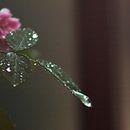 Rain. Un projet de Photographie de Matias Exequiel - 24.07.2016