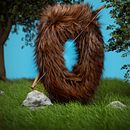 The "O" in nature.. Un proyecto de 3D, Dirección de arte, Diseño y Post-producción fotográfica		 de Lucas Lago - 28.07.2016
