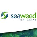Website Seaweed Canarias. Un proyecto de Diseño Web y Marketing de Gabriel Guerrero Espino - 05.09.2008