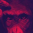 Planet of the Apes - Ilustración. Un proyecto de Diseño de personajes, Diseño gráfico e Ilustración tradicional de Leandro Bos - 11.08.2016