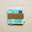 Wild Welva. Art Direction, Editorial Design, and Graphic Design project by David Pedro - 08.25.2016